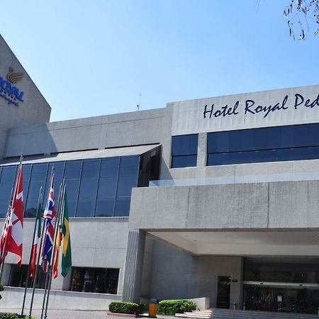 Royal Pedregal Hotell Mexico City Exteriör bild